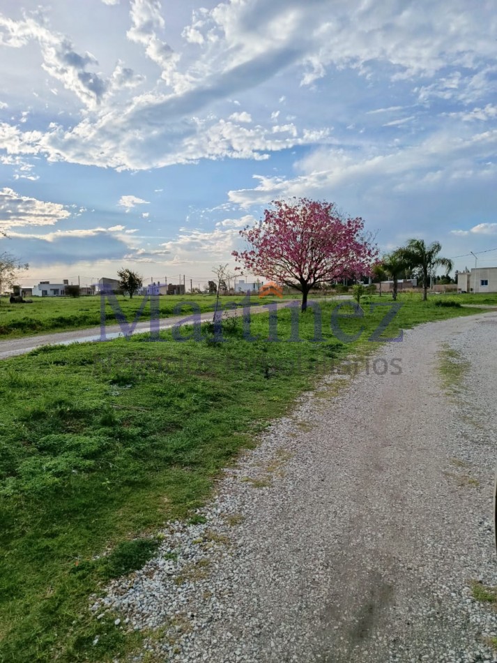 LOTES EN VENTA - PORTAL NORTE.