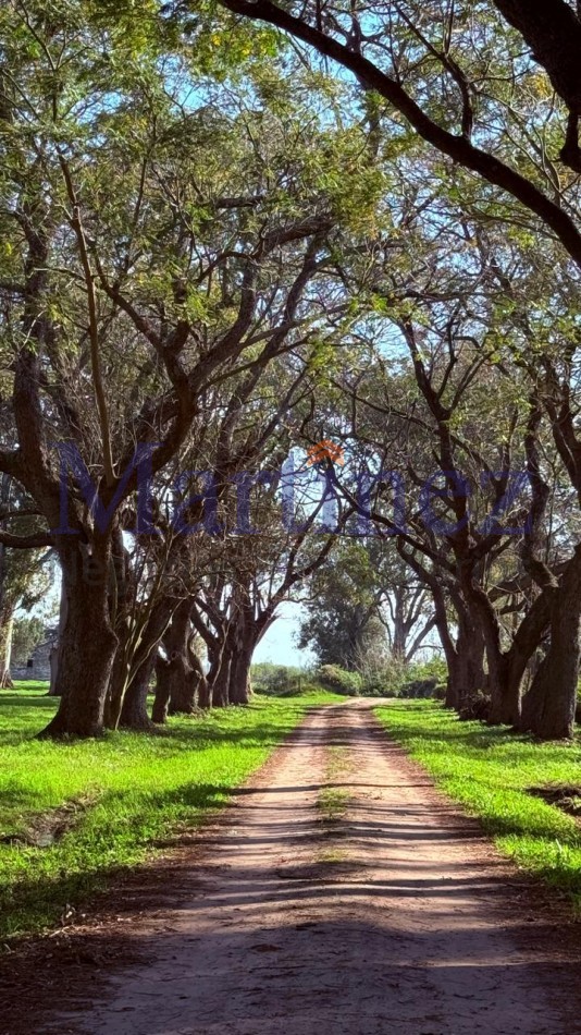 LOTEO LA ESTANCIA - LOTES FRENTE AL RIO SAN JAVIER